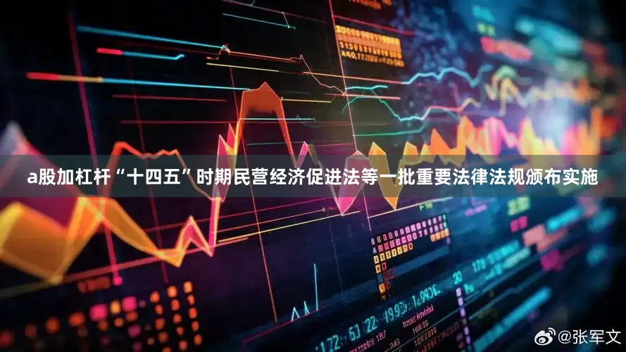 a股加杠杆“十四五”时期民营经济促进法等一批重要法律法规颁布实施